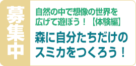 自然の中で子ども遊びワークショップ募集開始のお知らせ